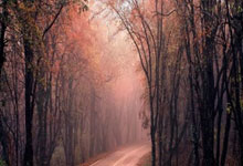 乐天堂联盟：重庆冠军赛抽签结果出炉 孙颖莎、林诗栋现场抽签.