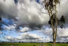 乐天堂联盟：摔跤——亚洲锦标赛：张又方获古典式摔跤97公斤级季军.